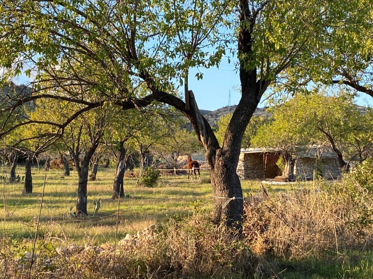 Masseria Usamborgia Noto Dış mekan fotoğraf